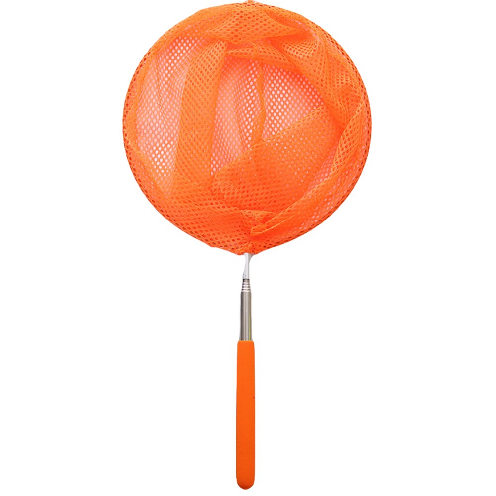 Extendable Kids Net Butterfly, Fish & Insect Catcher Catching Bugs with Anti Slip Grip - Image 5