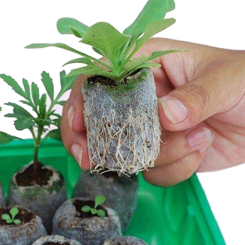 20/50/100pcs-pack 25mm/30mm Pellets Seedling Soil Block Starting Plugs Seeds Starter For Garden - Image 3