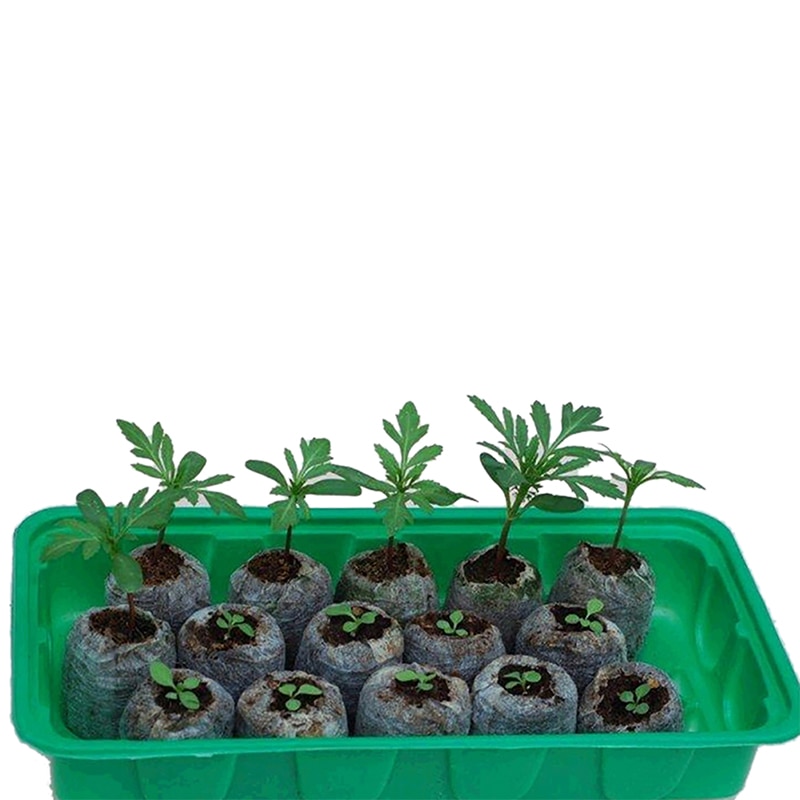 20/50/100pcs-pack 25mm/30mm Pellets Seedling Soil Block Starting Plugs Seeds Starter For Garden - Image 4