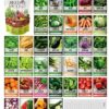 Survival Vegetable Seeds Garden Kit Over 16,000 Seeds Non-GMO and Heirloom, Great for Emergency Bugout Survival Gear 35 Varieties Seeds for Planting Vegetables 35 Free Plant Markers Gardeners Basics